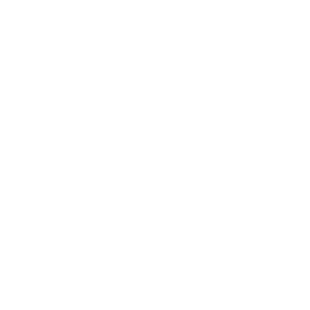+Rho, verso il 2030