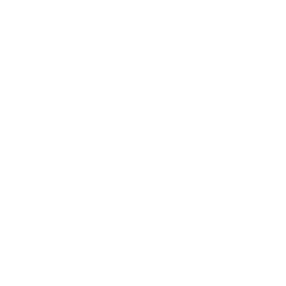 +Rho, verso il 2030